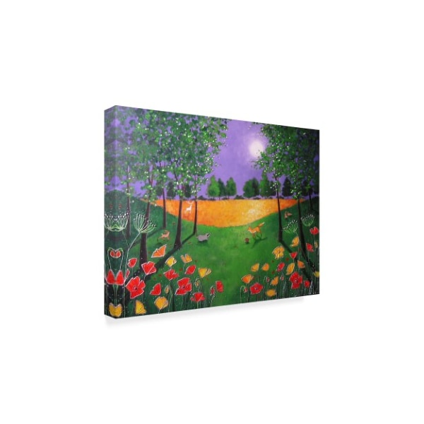 Angie Livingstone 'Autumn Evening Poppies' Canvas Art,14x19